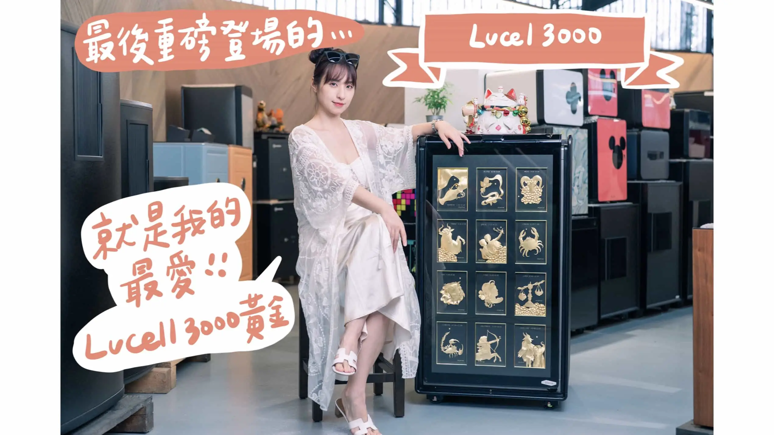 阿蘋 防盜 防火 保險箱推薦 保管箱