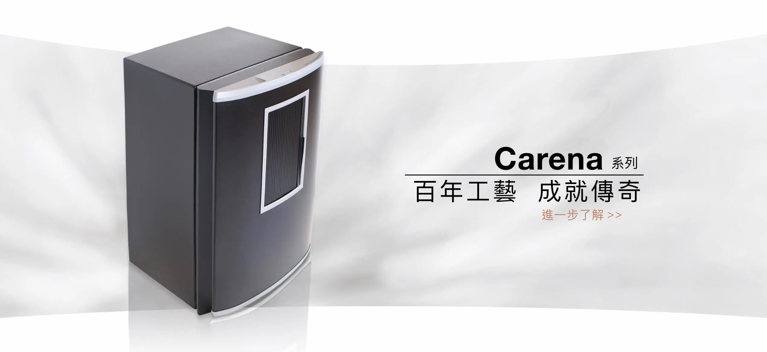 銀行 銀樓 珠寶 專用 防火 防盜 金庫 保險箱 Fichet Bauche Carena系列 保險箱推薦